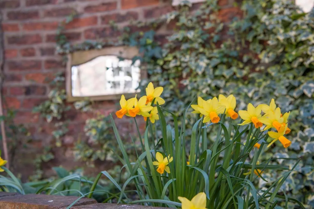 The Tansy House On Queen Street York 0*,  Wielka Brytania